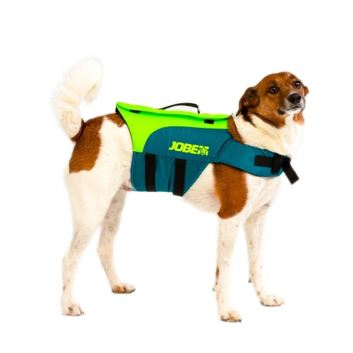 Pet vest Jobe, lime-teal