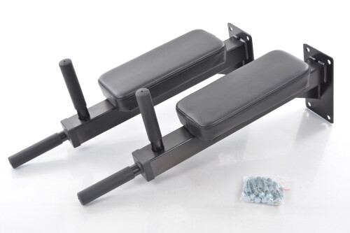 Wall Mounted Dip Bar DY-DR-1064