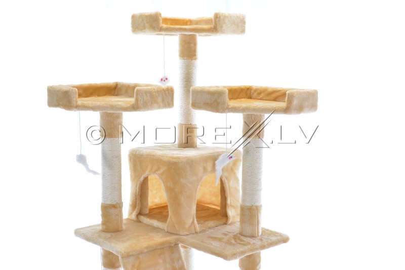 Cat House CAT608 (WK1133) Beige