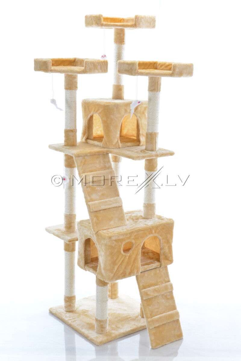 Cat House CAT608 (WK1133) Beige