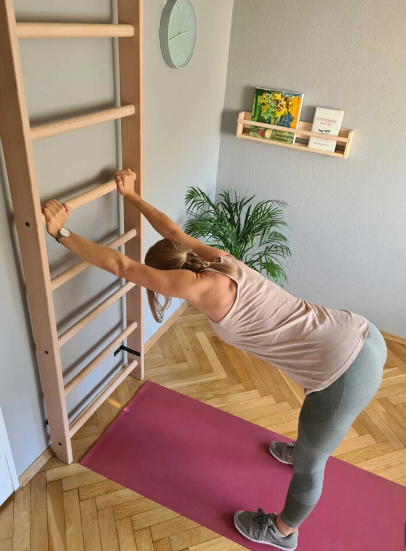 Wooden Swedish Ladder RESTPRO® WOOD 230x65 cm