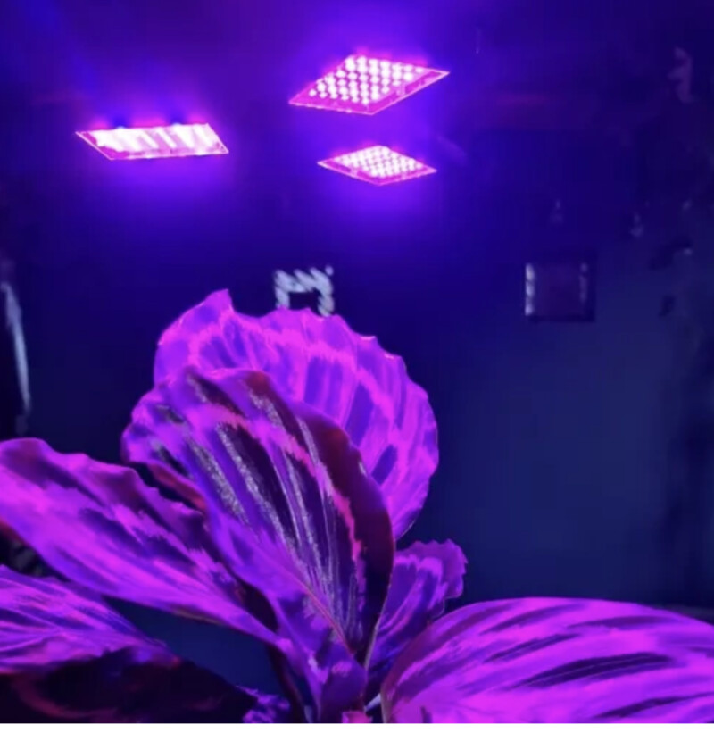 Grow Light for plants 8W/108 LED