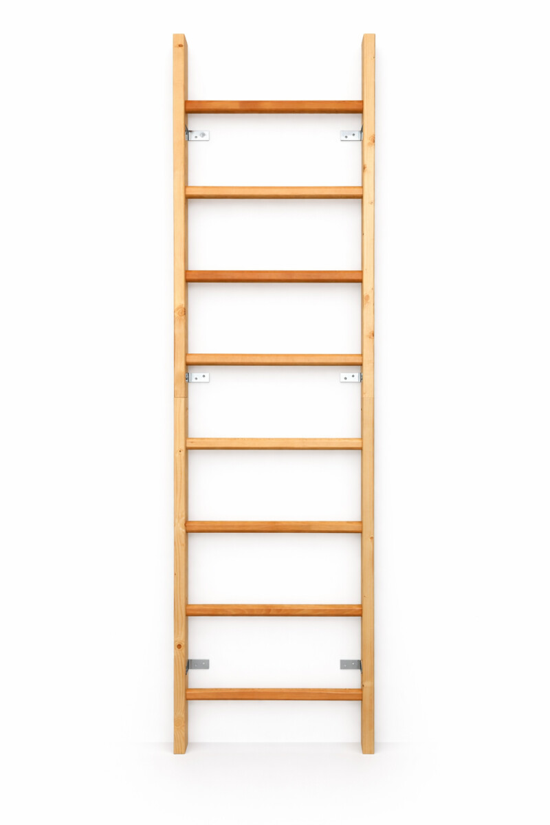 Wooden Swedish Ladder RESTPRO® WOOD 230x65 cm
