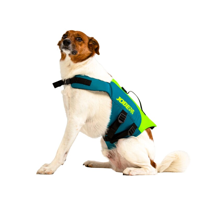 Pet vest Jobe, lime-teal