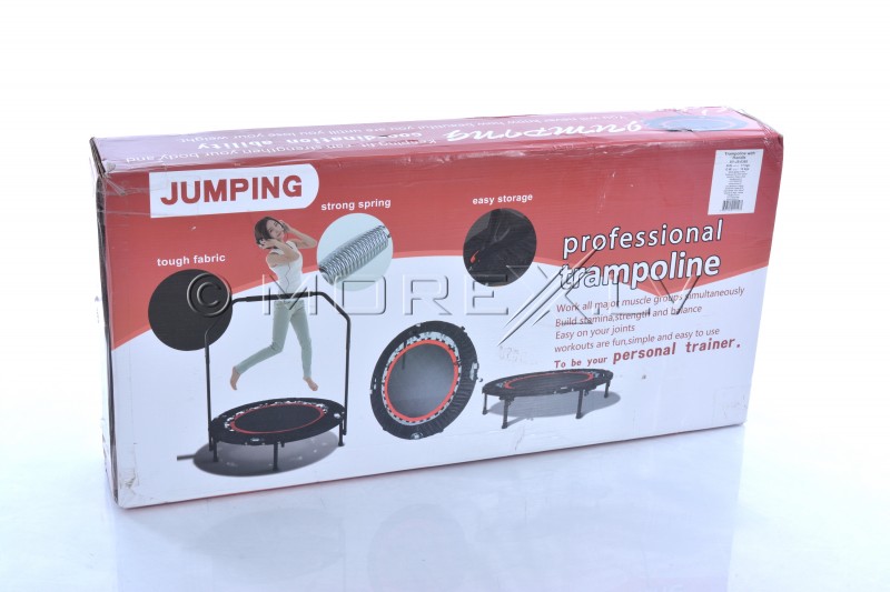 Trampoline with handle 100 cm (DY-JS-6388)