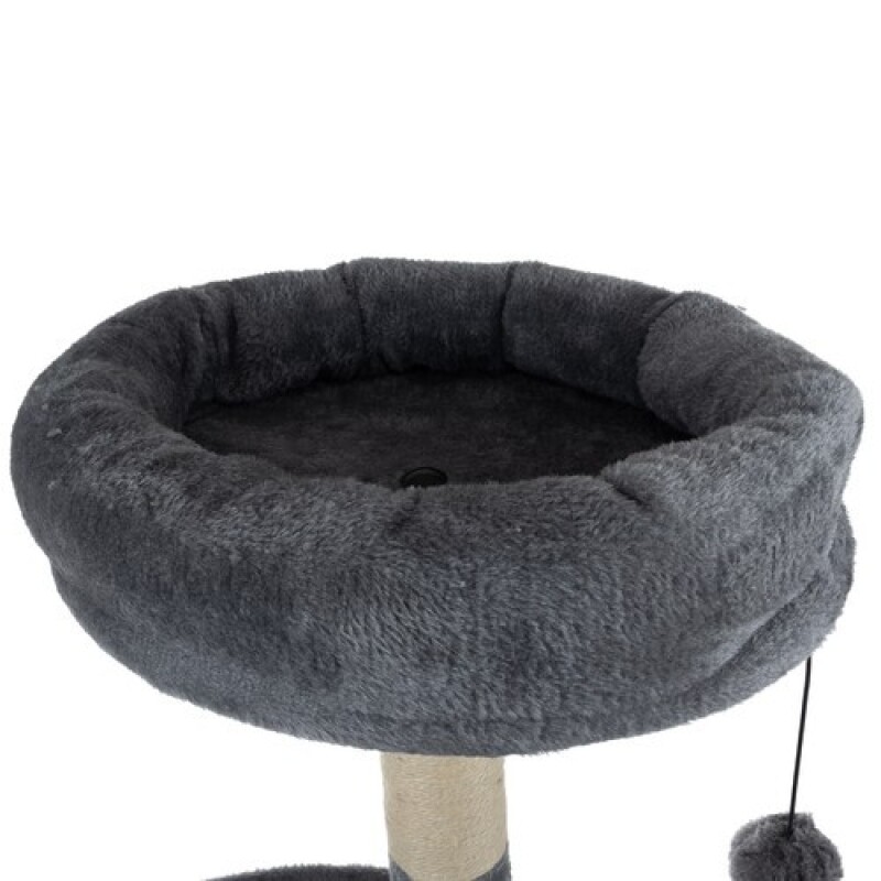 Kaķu nagu asināmais 71 cm, pelēks